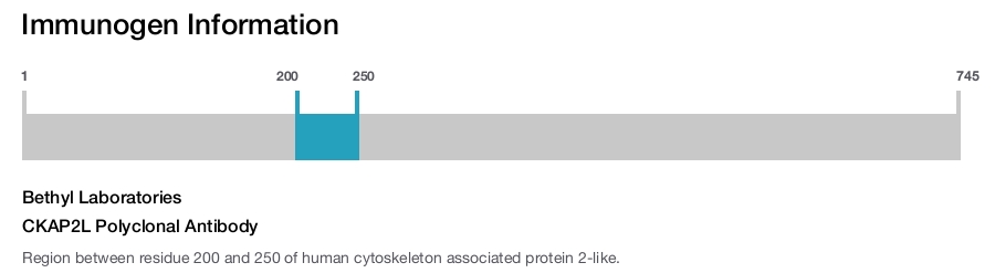 CKAP2L Polyclonal Antibody