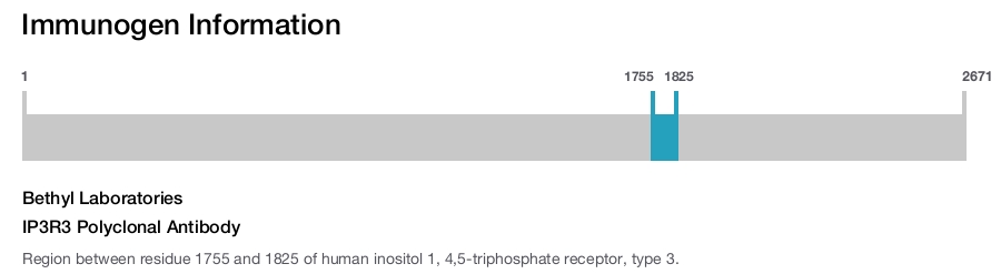 IP3R3 Polyclonal Antibody