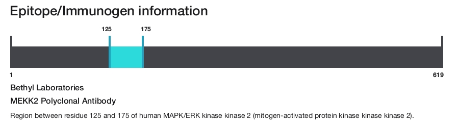 MEKK2 Polyclonal Antibody