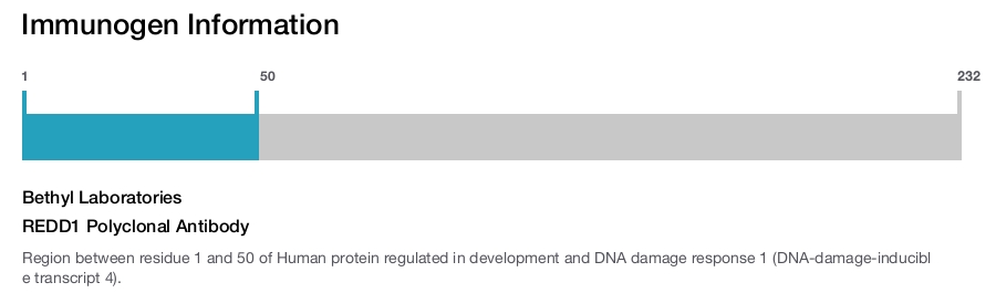REDD1 Polyclonal Antibody