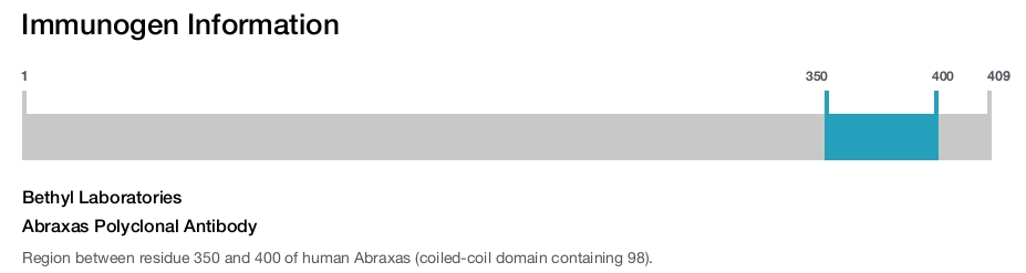 Abraxas Polyclonal Antibody