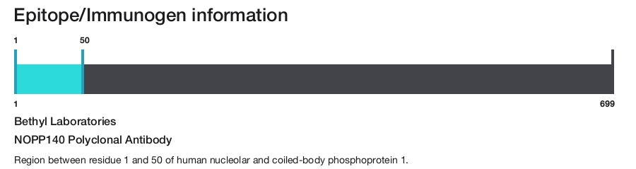 NOPP140 Polyclonal Antibody