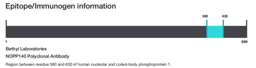NOPP140 Polyclonal Antibody