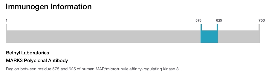 MARK3 Polyclonal Antibody