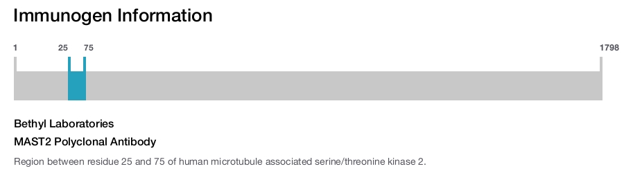 MAST2 Polyclonal Antibody