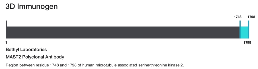 MAST2 Polyclonal Antibody
