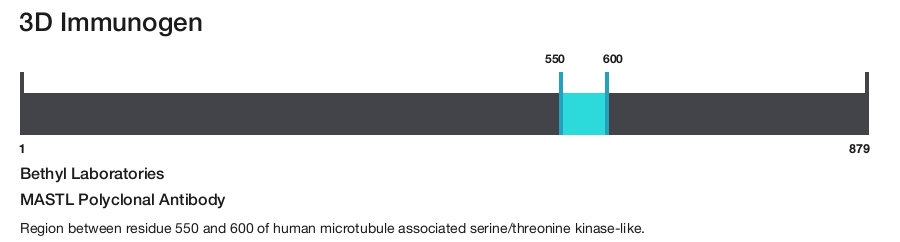 MASTL Polyclonal Antibody
