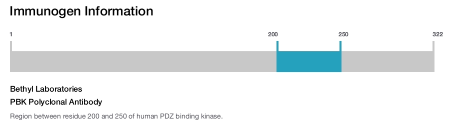 PBK Polyclonal Antibody