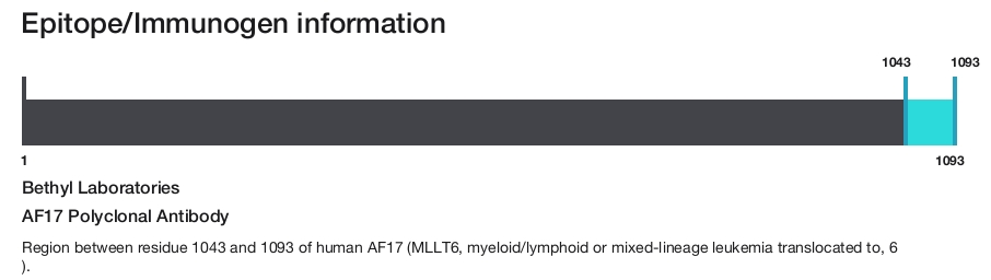 AF17 Polyclonal Antibody