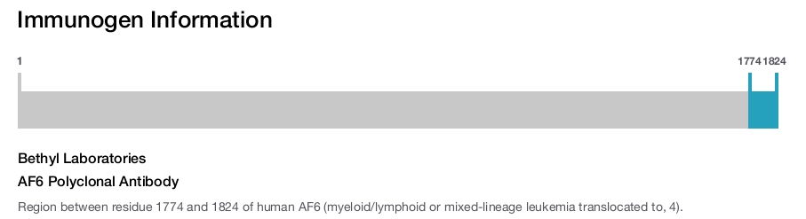 AF6 Polyclonal Antibody