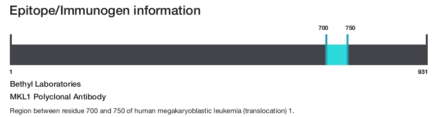 MKL1 Polyclonal Antibody