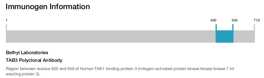 TAB3 Polyclonal Antibody
