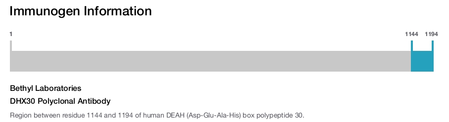 DHX30 Polyclonal Antibody
