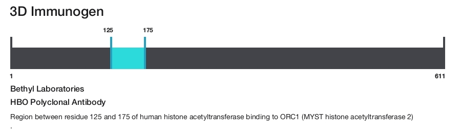 HBO Polyclonal Antibody