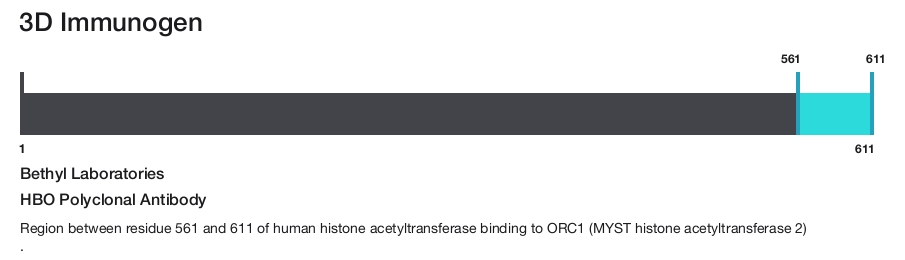 HBO Polyclonal Antibody