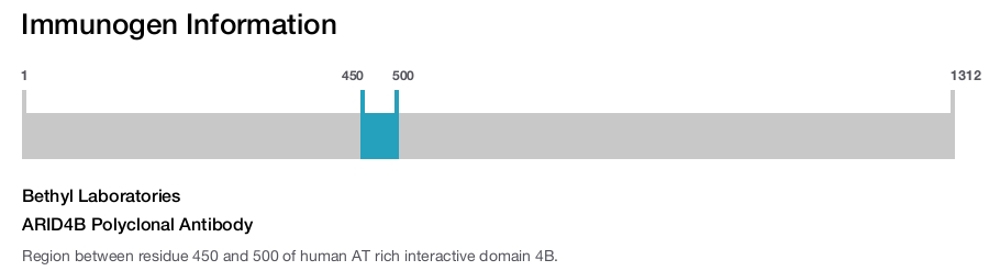 ARID4B Polyclonal Antibody