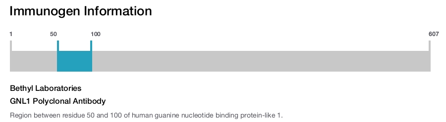 GNL1 Polyclonal Antibody