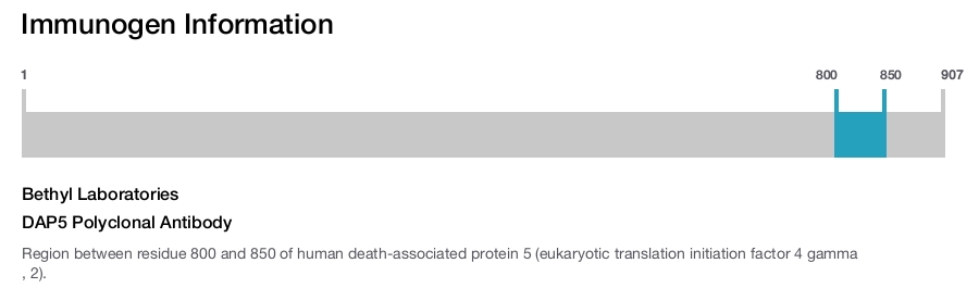 DAP5 Polyclonal Antibody