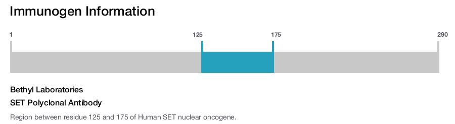 SET Polyclonal Antibody