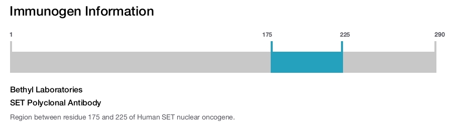 SET Polyclonal Antibody