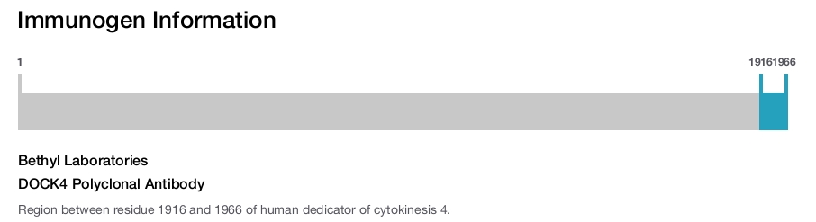 DOCK4 Polyclonal Antibody
