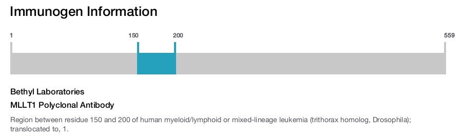 MLLT1 Polyclonal Antibody