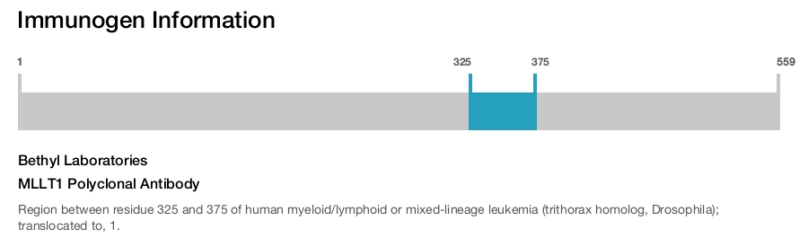MLLT1 Polyclonal Antibody