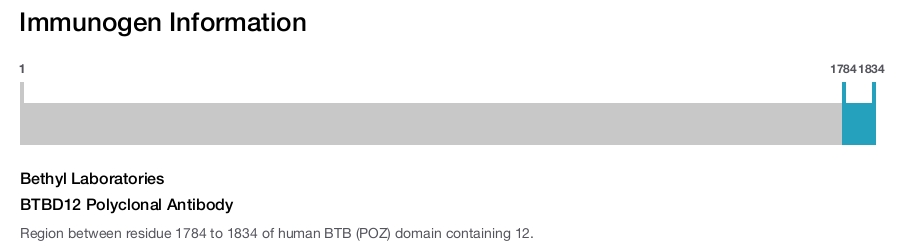 BTBD12 Polyclonal Antibody