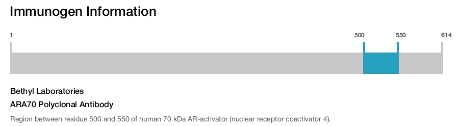 ARA70 Polyclonal Antibody