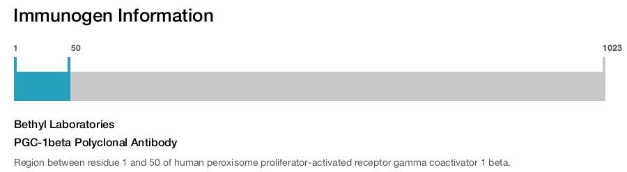 PGC-1beta Polyclonal Antibody