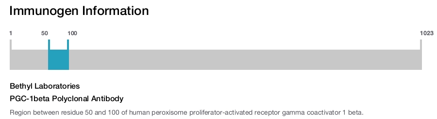 PGC-1beta Polyclonal Antibody