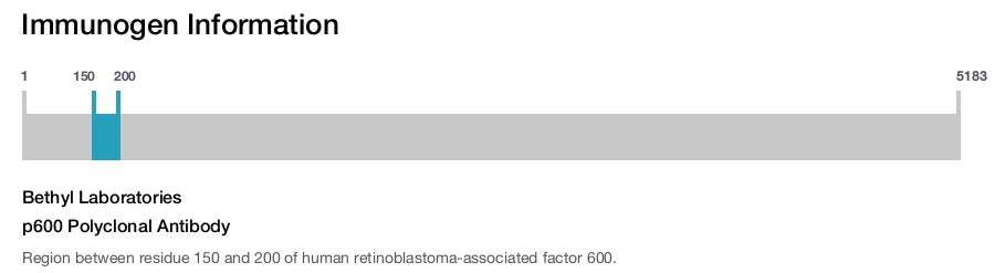 p600 Polyclonal Antibody