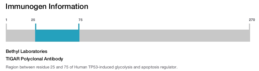 TIGAR Polyclonal Antibody