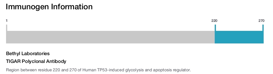 TIGAR Polyclonal Antibody