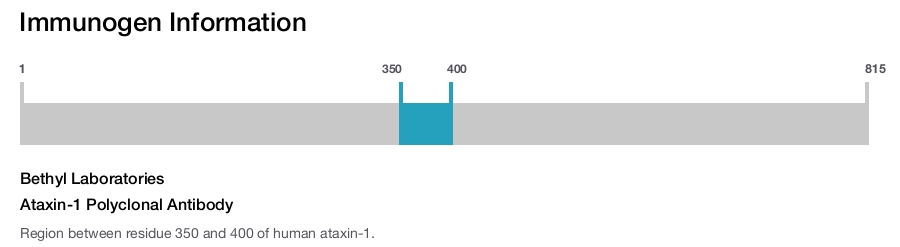 Ataxin-1 Polyclonal Antibody