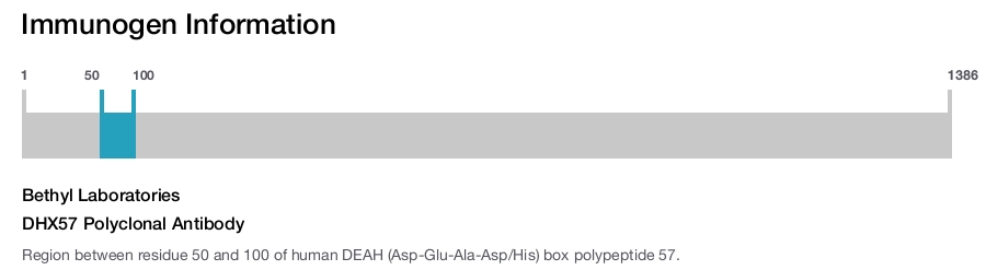 DHX57 Polyclonal Antibody