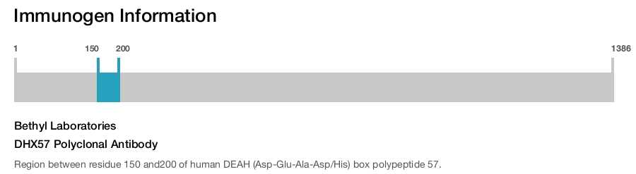 DHX57 Polyclonal Antibody