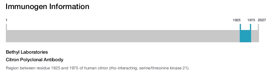 Citron Polyclonal Antibody