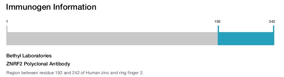 ZNRF2 Polyclonal Antibody
