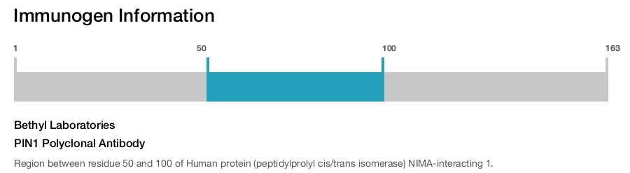 PIN1 Polyclonal Antibody