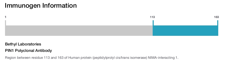 PIN1 Polyclonal Antibody