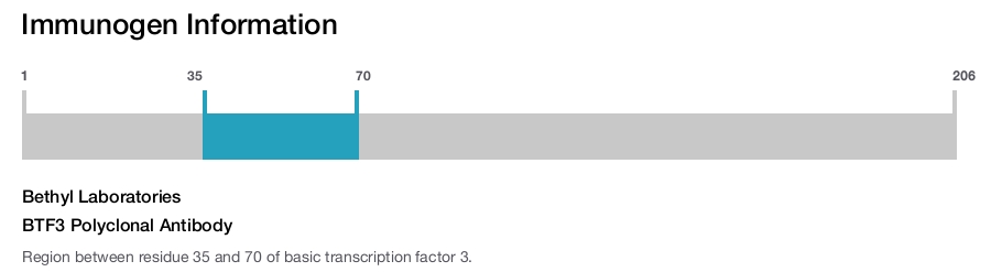 BTF3 Polyclonal Antibody