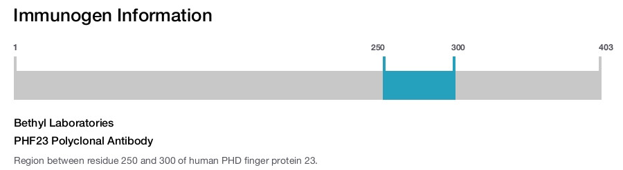 PHF23 Polyclonal Antibody