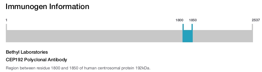 CEP192 Polyclonal Antibody