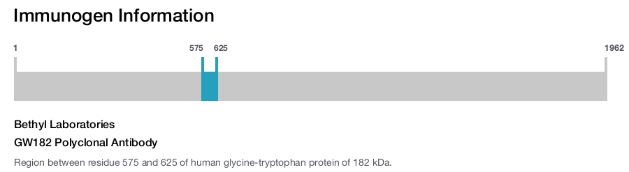 GW182 Polyclonal Antibody