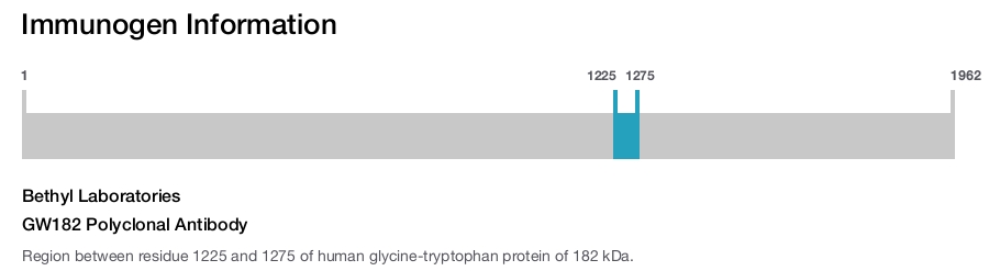 GW182 Polyclonal Antibody