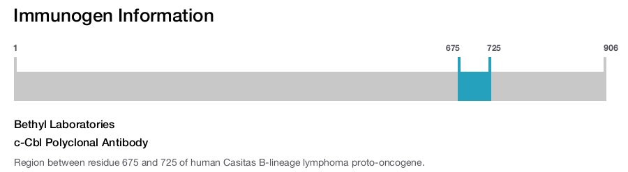 c-Cbl Polyclonal Antibody