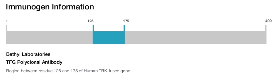 TFG Polyclonal Antibody