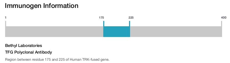 TFG Polyclonal Antibody