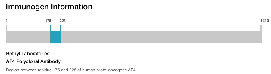 AF4 Polyclonal Antibody